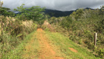 Kauai Hawaii Yka paa path_Panorama1