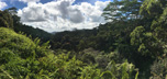 Kauai Hawaii ka-paa-valley-panorama1.jpg