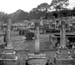 New Zealand Picture images Dargaville graveyard 3