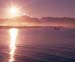 New Zealand Picture images Lake Ferry Boatmen